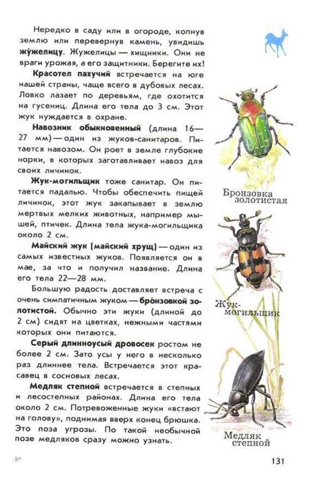 Атлас определитель животных "От земли до неба" Плешаков. Насекомые ...