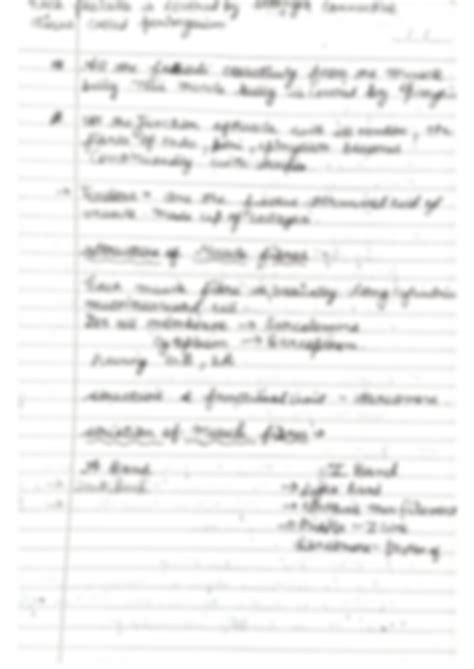 SOLUTION Skeletal Muscle Studypool