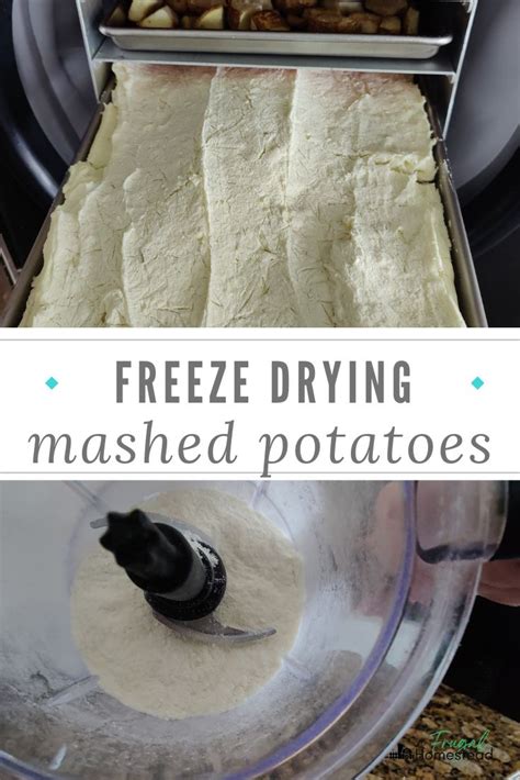 Freeze Drying Mashed Potatoes