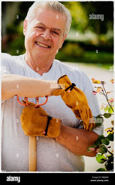 Older Man Gardening Outdoors Stock Photo Alamy