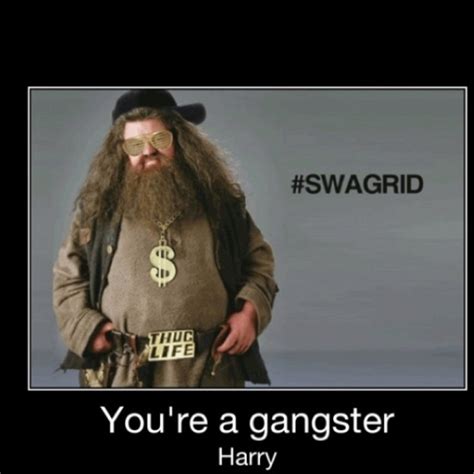 You Re A Gangster Harry Harry Potter Memes Gangster Harry Potter Swag