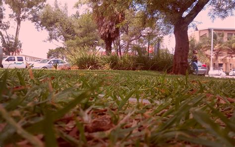 Wallpaper : cityscape, graphic design 1280x800 - forestsheep - 1242353