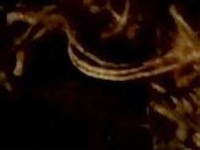 The Demon S Rook Nude Scenes Aznude