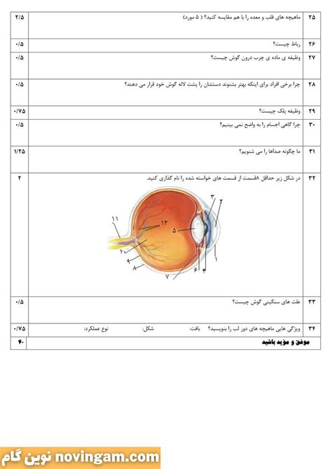 نمونه سوال درس اول تا ششم علوم پنجم ⭐️ [ نمونه سوال درس 1 تا 6 کامل ترین و بهترین ]