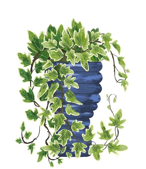 General Guidelines For Preparing Plant Guides 9