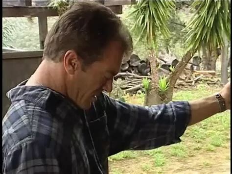 Lusty Nympho With Bouncy Tits Gets Deep Anal Drilling American Porn Xhamster