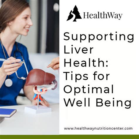 Unlocking The Secrets Of Liver Health A Comprehensive Guide Healthway Nutrition Center