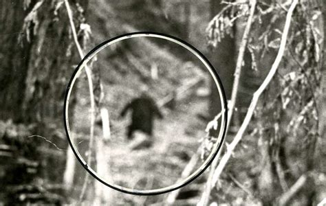 Beyond Bigfoot Rediscovering 60 Years Of Sasquatch Stories San