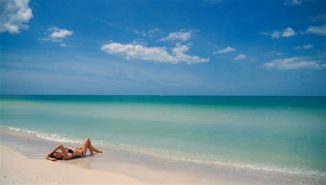 Bikini On Beach Hd Live Wallpaper Engine