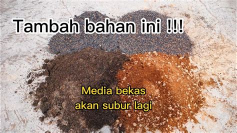 Membuat Media Bekas Jadi Subur Dan Poros Lagi Youtube