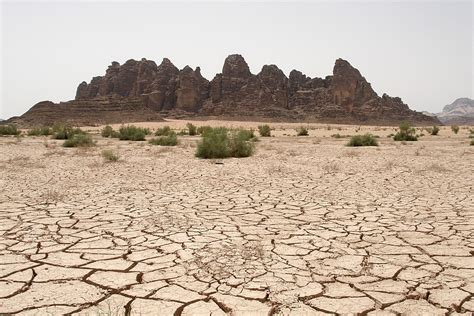 First Middle East And North Africa Climate Week Tackles Climate Change ...