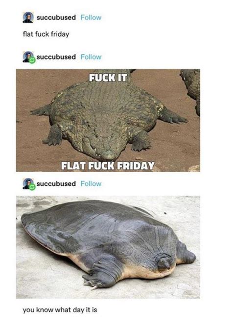 Its Fat Fuck Friday R Tumblr