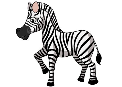 Zebras Clipart