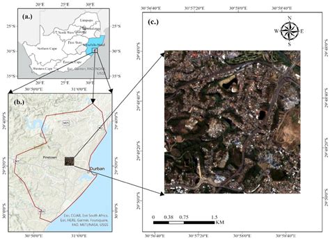 Google Earth Engine for Informal Settlement Mapping: A Random Forest