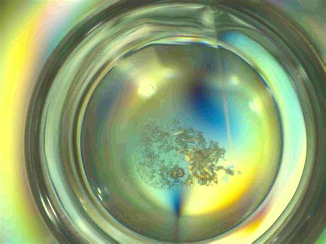 Obituary and Memorial Tributes for Judith Markelz 11