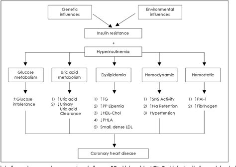 PDF Metabolic Syndrome And Cardiovascular Disease Semantic Scholar