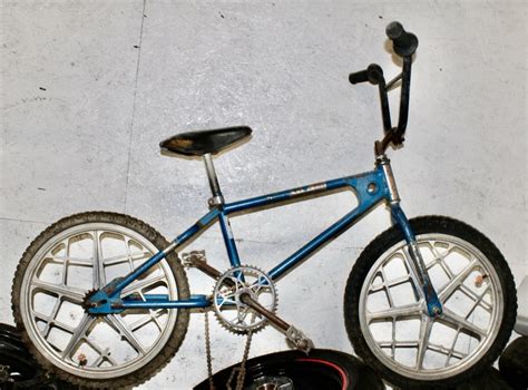 Blue Mongoose Bmx
