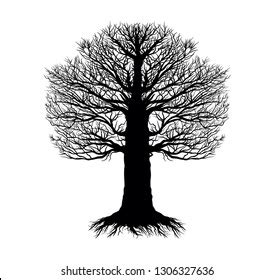 Tree Without Leaf Stock Vector Royalty Free Shutterstock