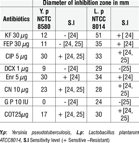 Testing Of Antibiotics Against Y Pseudotuberculosis And Lactobacillus Download Table