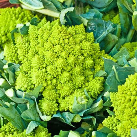 ROMANESCO Natalino 100 Samen BRASSICA OLERACEA Gemüse KOHLGEMÜSE