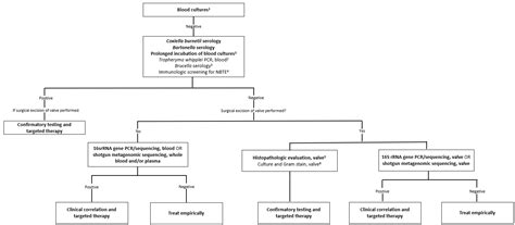 Pathogens Free Full Text Updates In Culture Negative Endocarditis