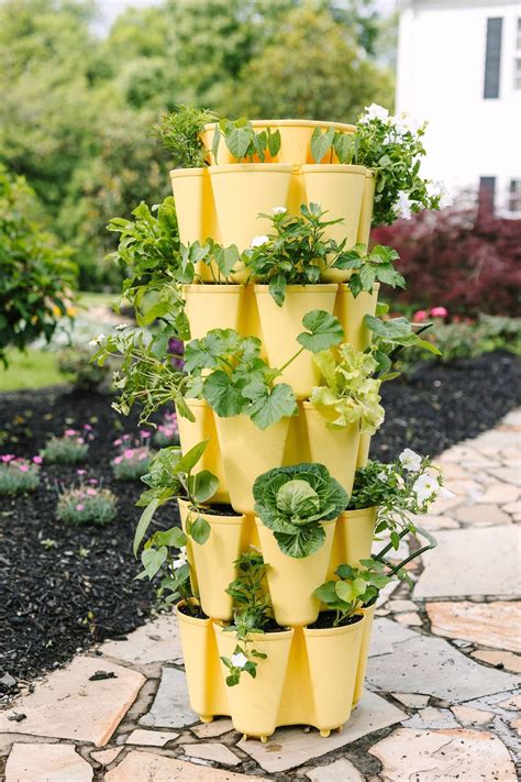 All Products | GreenStalk Garden