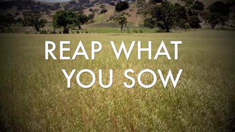 Reap What You Sow Get In What You Get Out