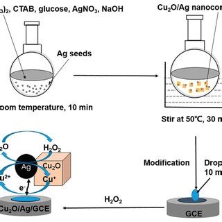 Schematic Illustration For The Facile Method To Prepare Cu O Ag Gce