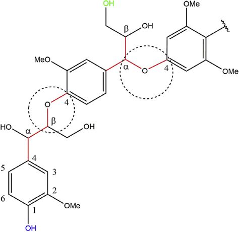 The Most Reactive Bonds Types In Lignin Structure Are O Right