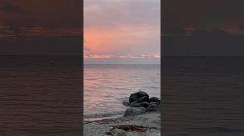 Einfach Schön Anzuschauen Natur Pur Mit Ostsee Lübecker Bucht Shorts Youtube