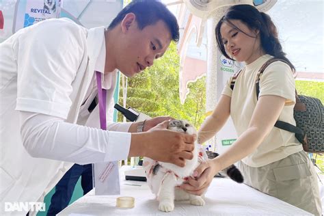 Hot girl mang thú cưng nghìn USD đến ngày hội độc đáo ở TPHCM Báo Dân trí