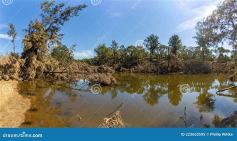 Photograph Of Fallen Trees In Yarramundi Reserve In Regional Australia