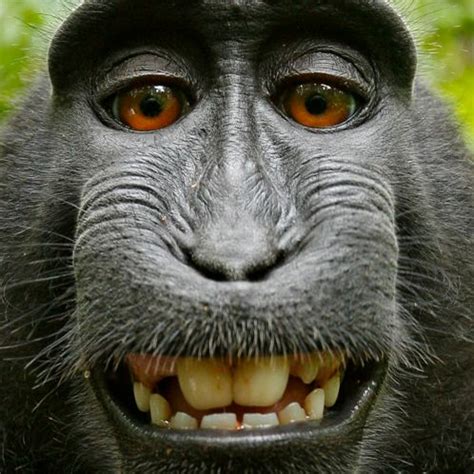 Stream Mega Ass Collab By Turkmen Listen Online For Free On SoundCloud