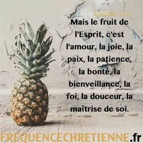 Les Fruits De Lesprit Ce Sont Les Vertus Que La Présence Du Saint