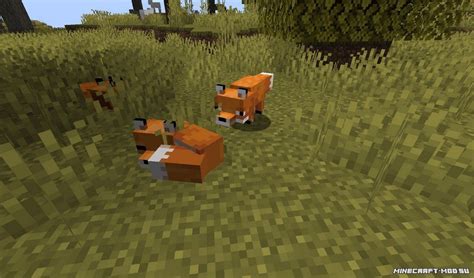 Лиса в Майнкрафт