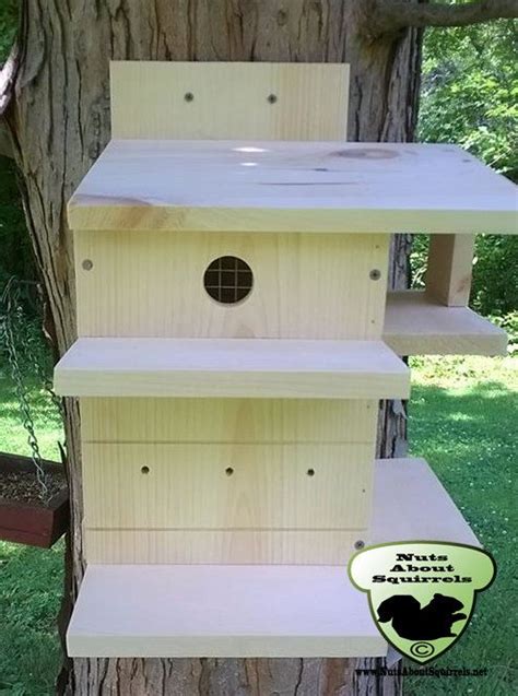 Squirrel Nesting Box Wildlife Rehab Approved Squirrel House For Spring