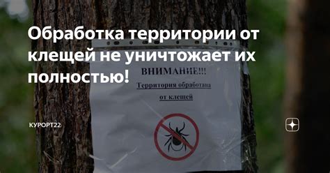 Обработка территории от клещей не уничтожает их полностью! | К-22 | Дзен