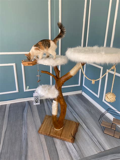 Scratching Post Natural Scratching Post Wooden Scratching - Etsy