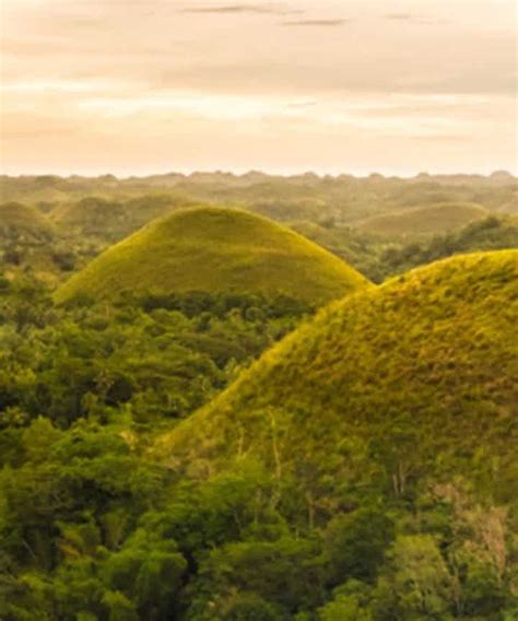 Chocolate Hills Tours In 2022 Tourist Spots Scenic Views Scenic