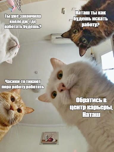 Мем: "Наташ ты как будешь искать работу? Ты уже закончила колледж, где ...
