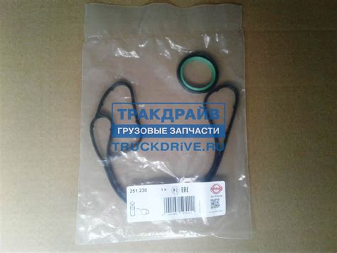 Комплект прокладок модуля масляного фильтра для DAF XF105 251.230 ...