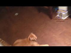 Hairy Pussy Funny Xxx Mobile Porno Videos Movies Iporntv Net