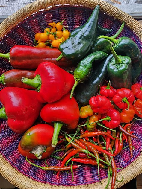 Pontiac United Education Coalition - PUEC - We Love Lit and SCBWI-MI