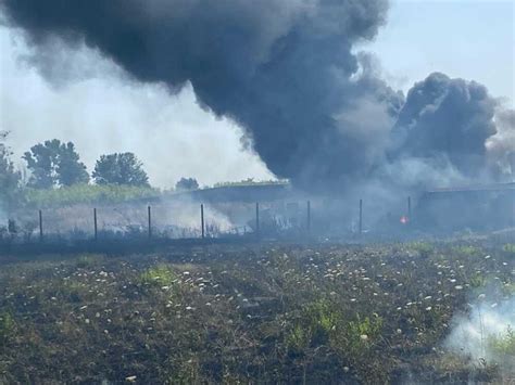 incendio  ladispoli brucia  capannone terzo binario news