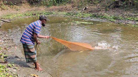 Best Net Fishing Video Katol Fish Catching Men Using By Cast Net In The