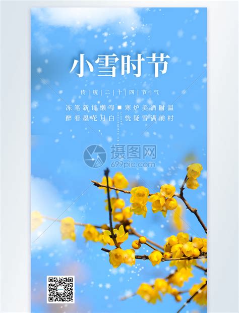 清新简约小雪节气摄影图海报模板素材 正版图片401875654 摄图网