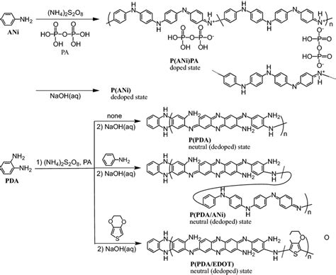 Synthesis Of Polymer And Copolymers Download Scientific Diagram