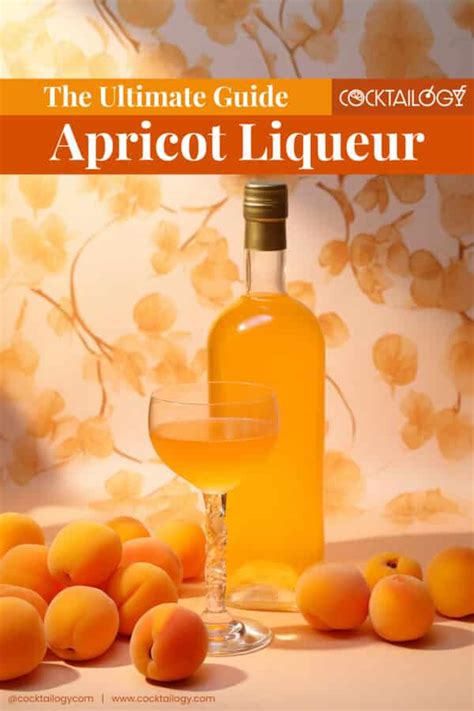 Hazelnut Liqueur Noisette Nocciole 14 Things You Should Know The