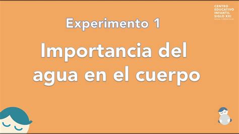 Experimento N La Importancia Del Agua En El Cuerpo Youtube