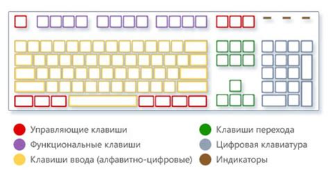 Устройства ввода компьютера. Устройства управления компьютером